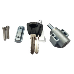 Abus Cilindro di Chiusura Standard per Bosch PowerTube 750Wh