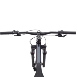 Cannondale Trail SL 2