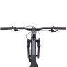 Cannondale Trail SL 2